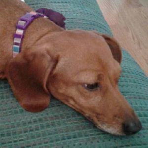 Meet your Posher, Michele